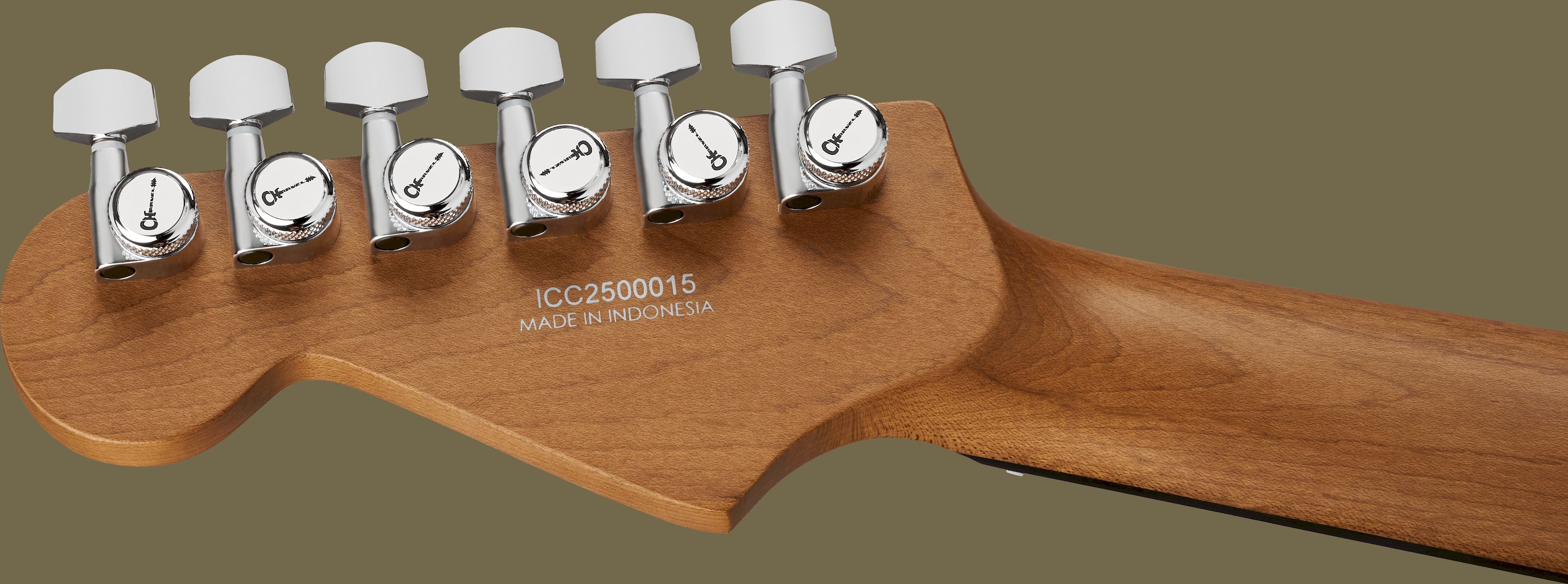 Charvel Pro-Mod Plus DK24 HH 2PT EB Celestial Silk – Bild 6