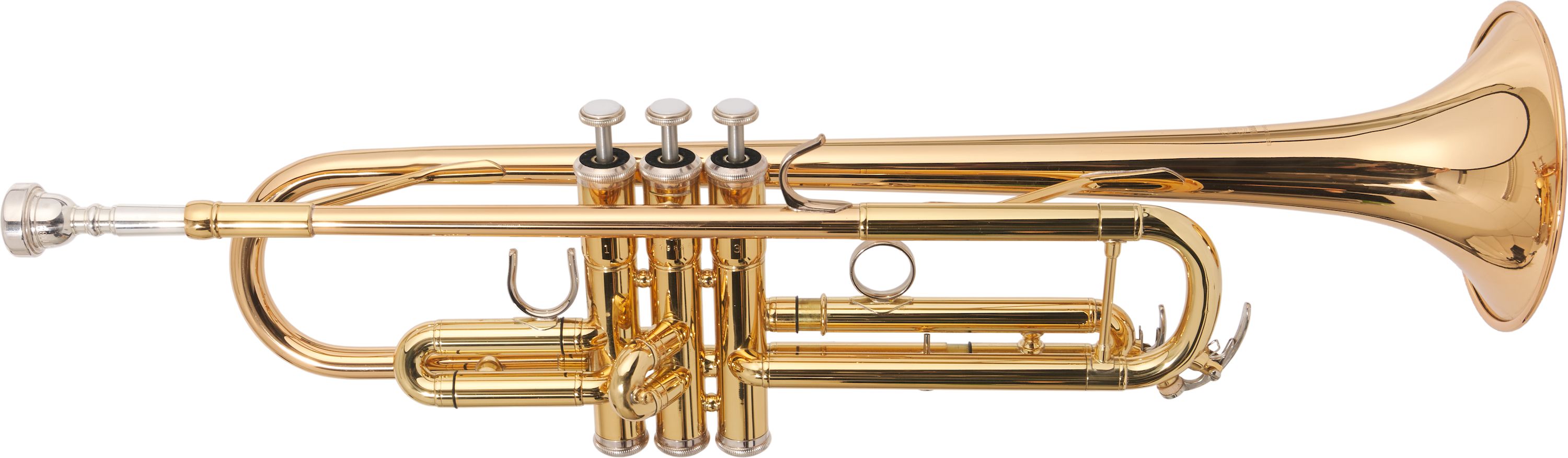 Yamaha YTR-4335 GII (rental return)