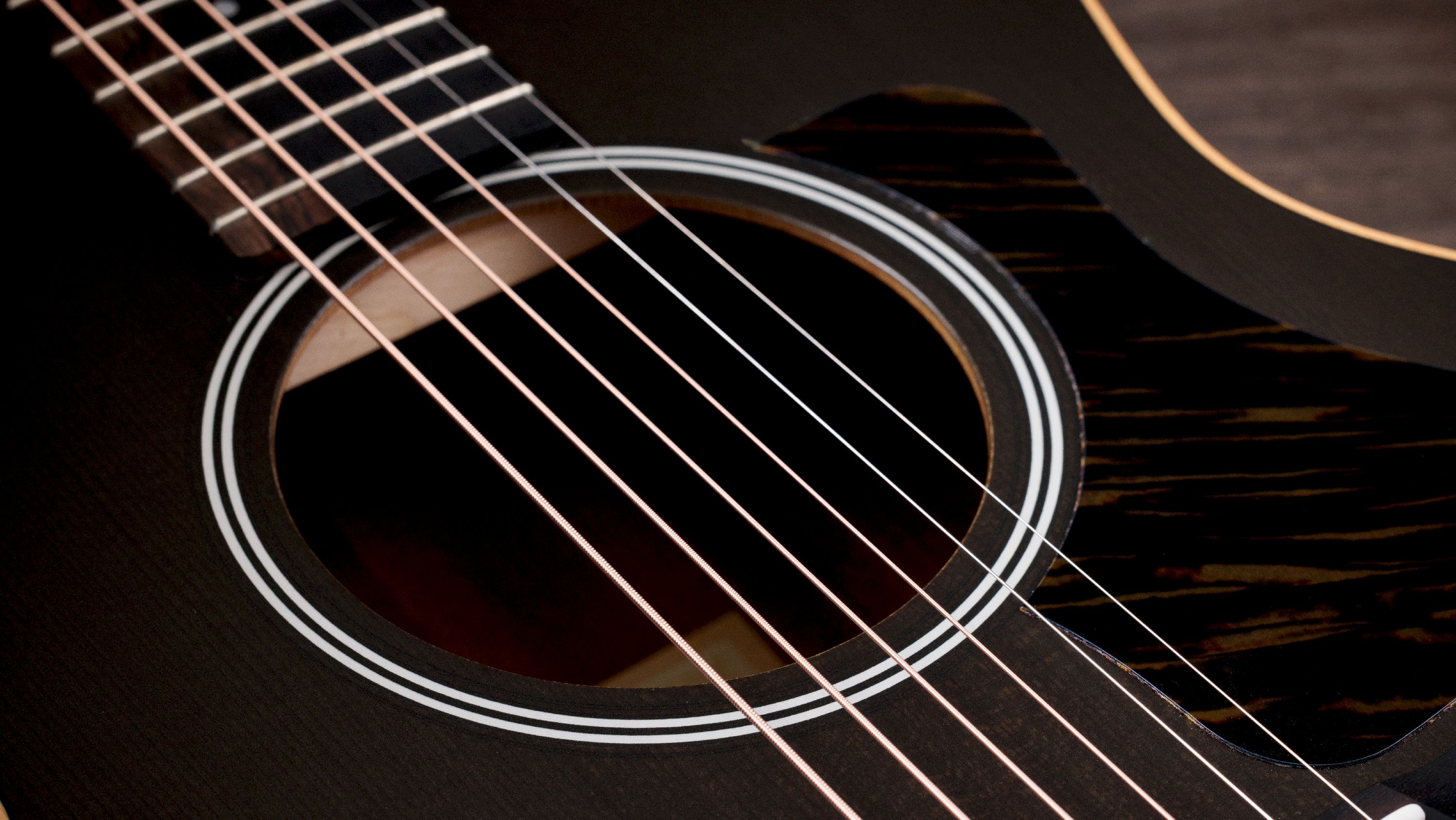 Taylor GS Mini-e Trans Black Special Edition  – Bild 4