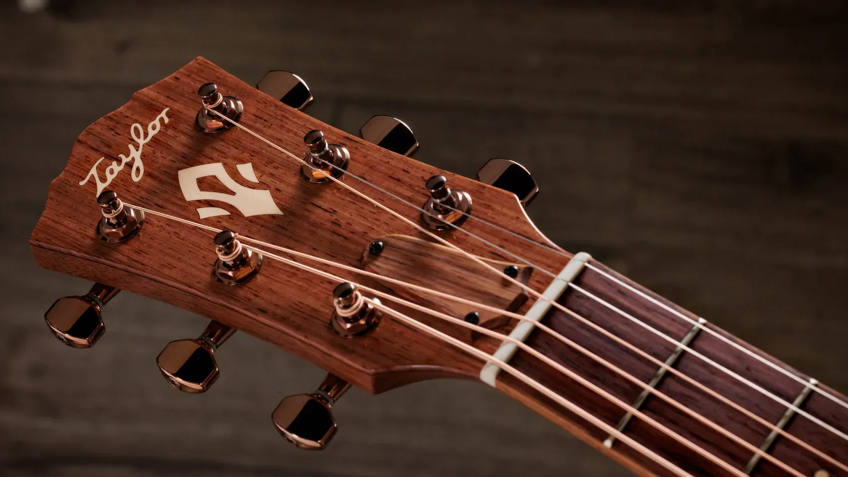 Taylor Gold Label 512e Ben Harper Grand Concert Fichte/Mahagoni – Bild 10