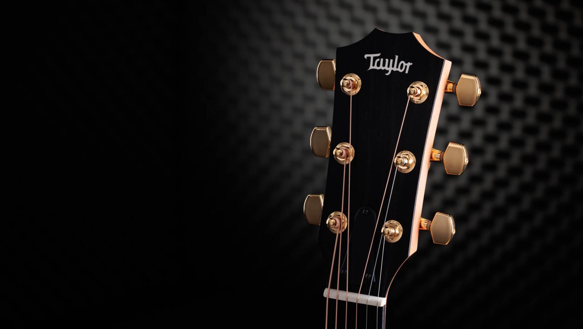 Taylor 50th Anniversary 217e-SB Plus LTD – Bild 8