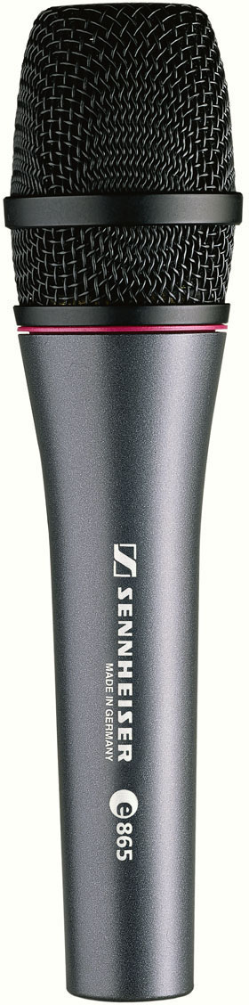 Sennheiser E 865 