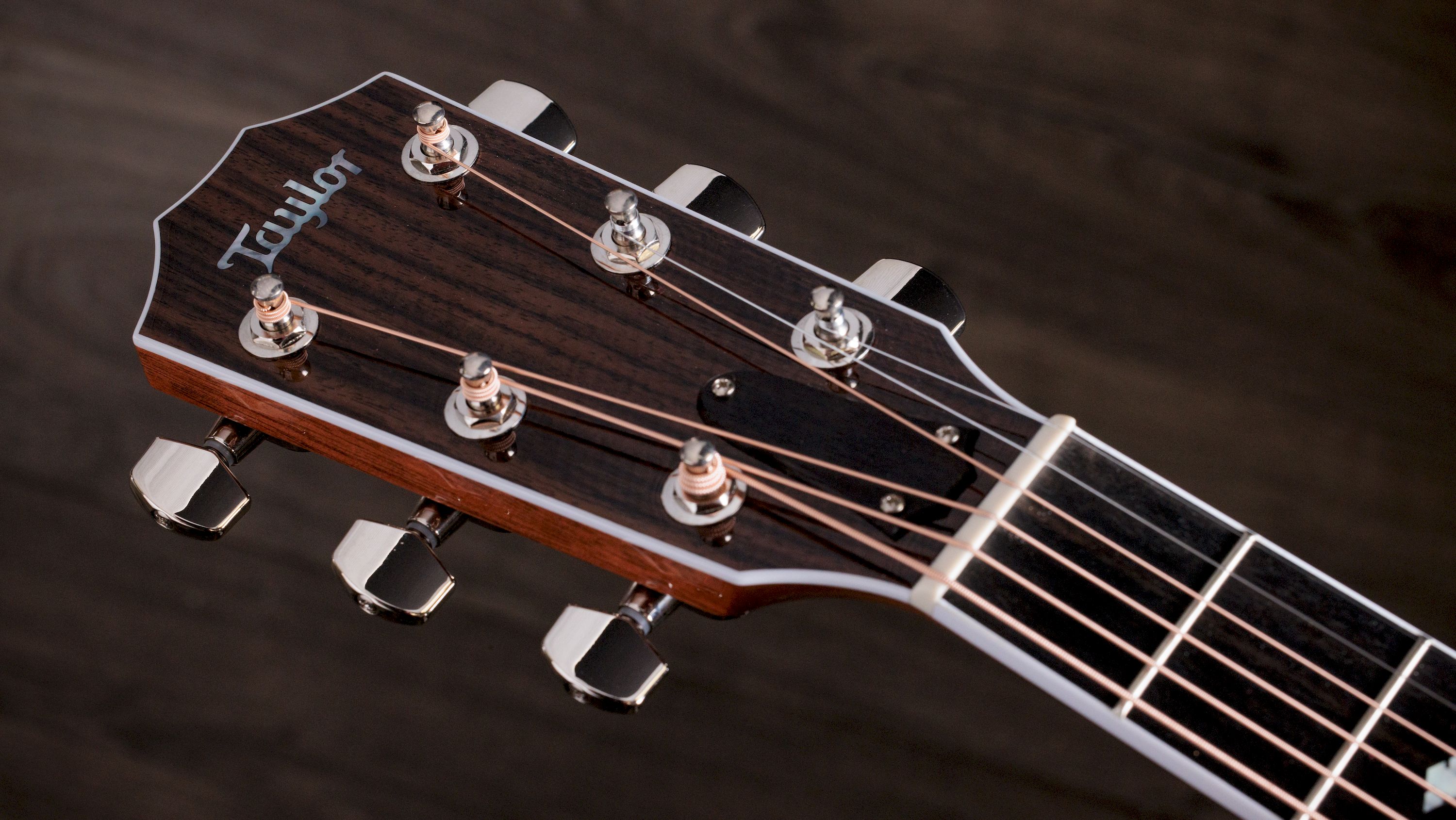 Taylor Legacy 815e – Bild 8