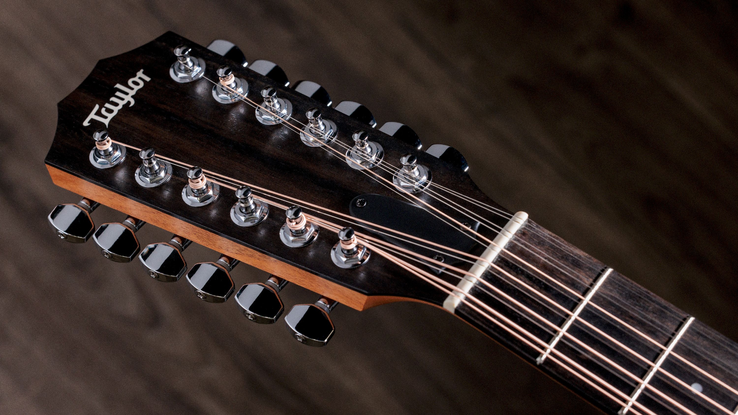 Taylor 150ce 12-String