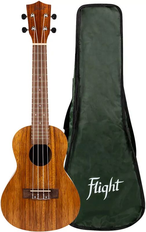 Flight NUC 200 Concert