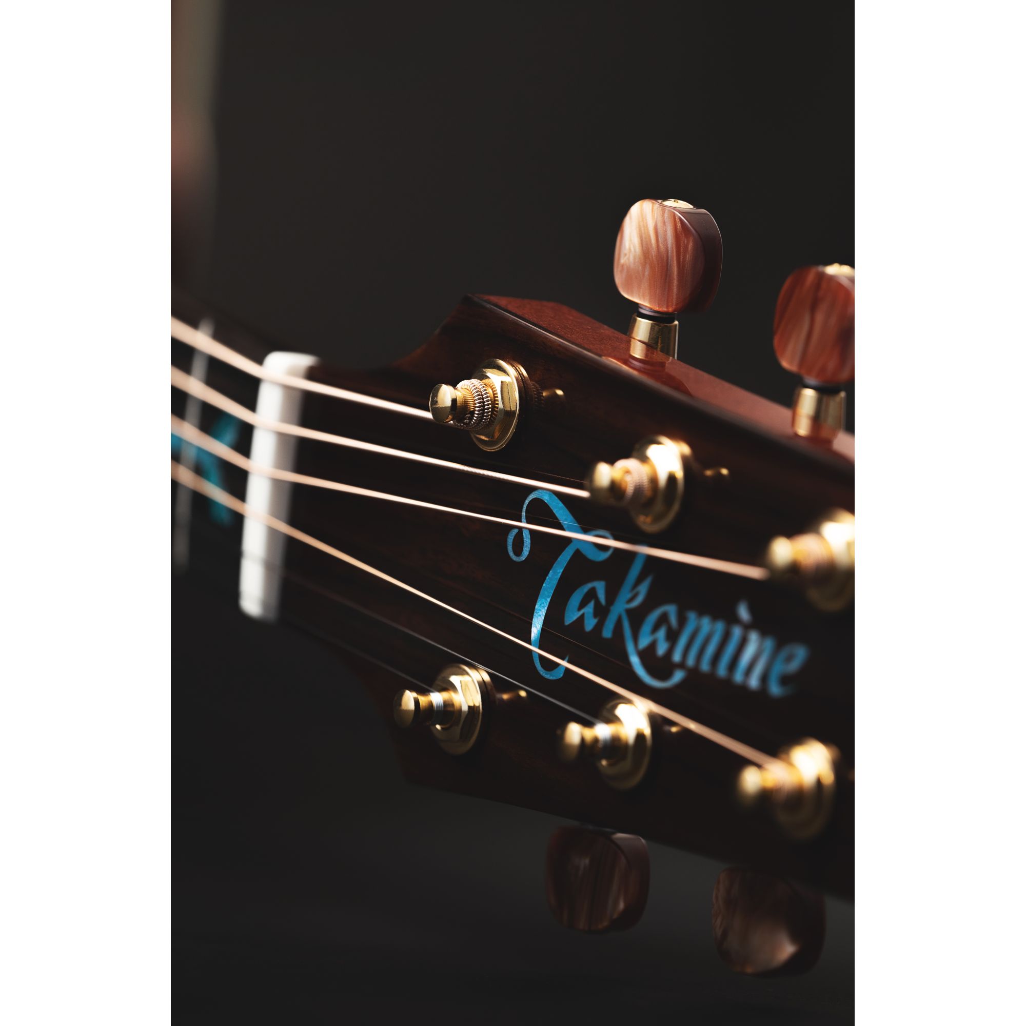 Takamine Santa Fé Limited 2023 Takamine Santa Fé Limited 2023