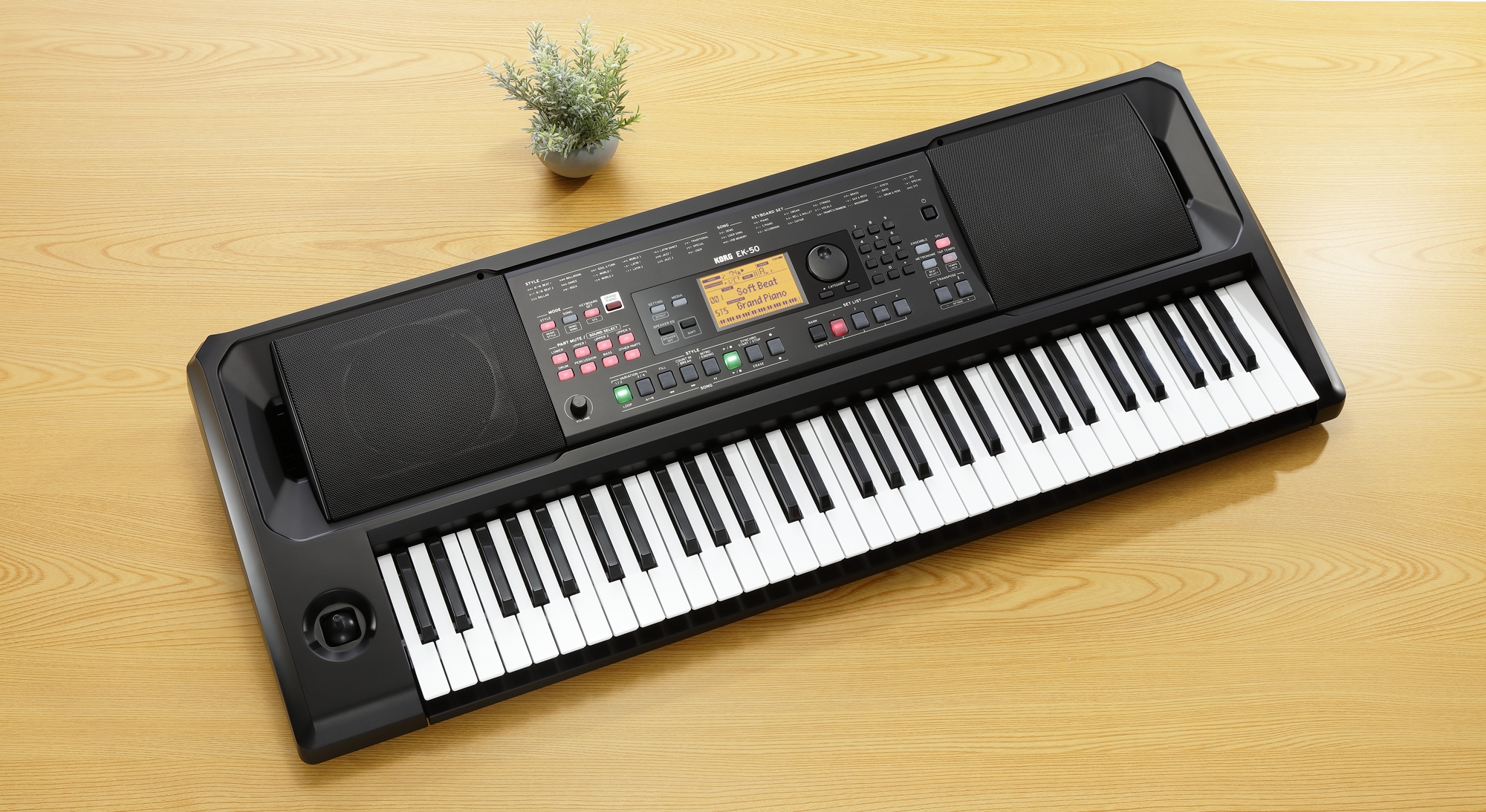 Korg EK 50 Arranger Keyboard (Retoure) – Bild 5
