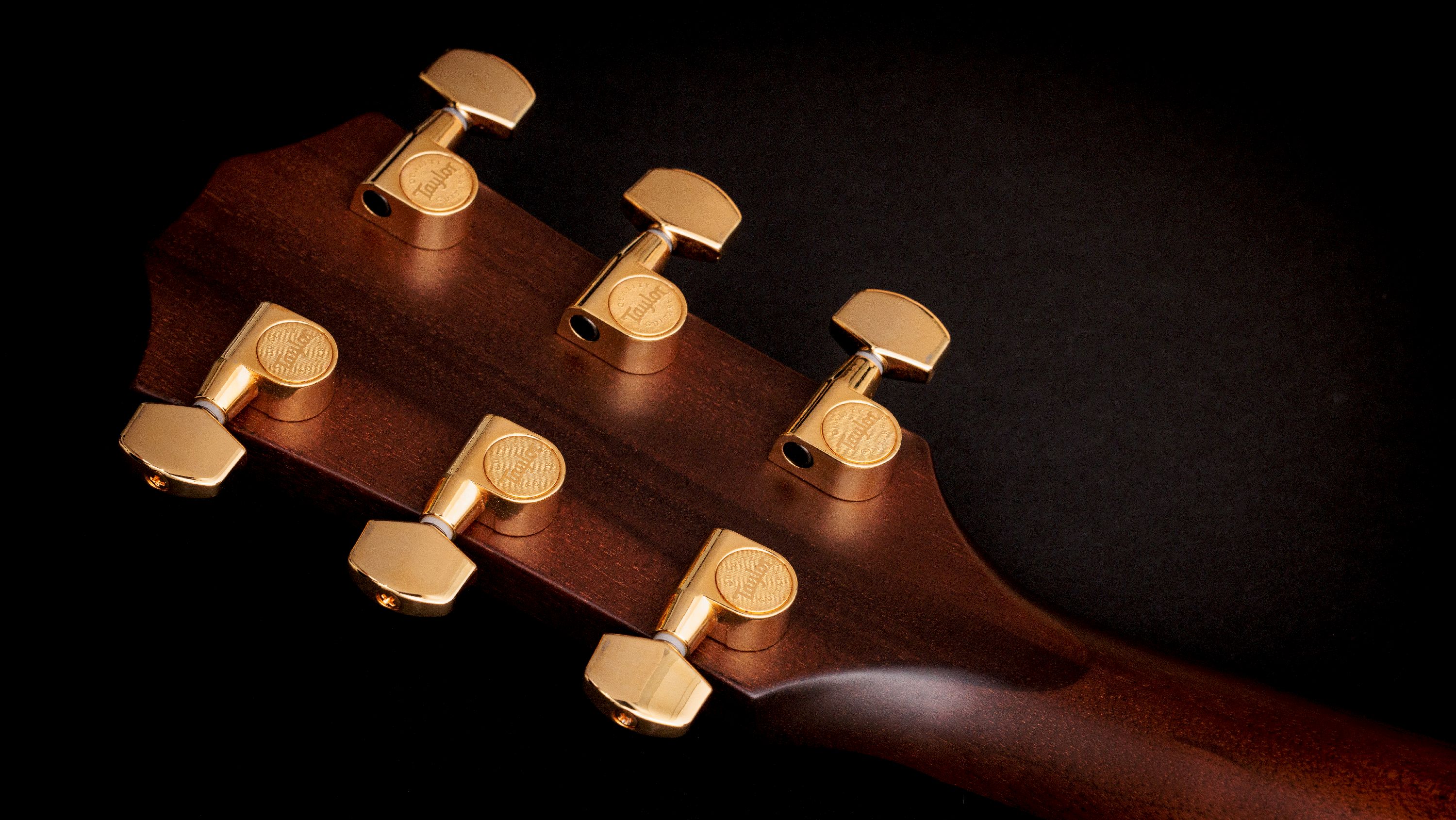 Taylor 50th Anniversary 312ce