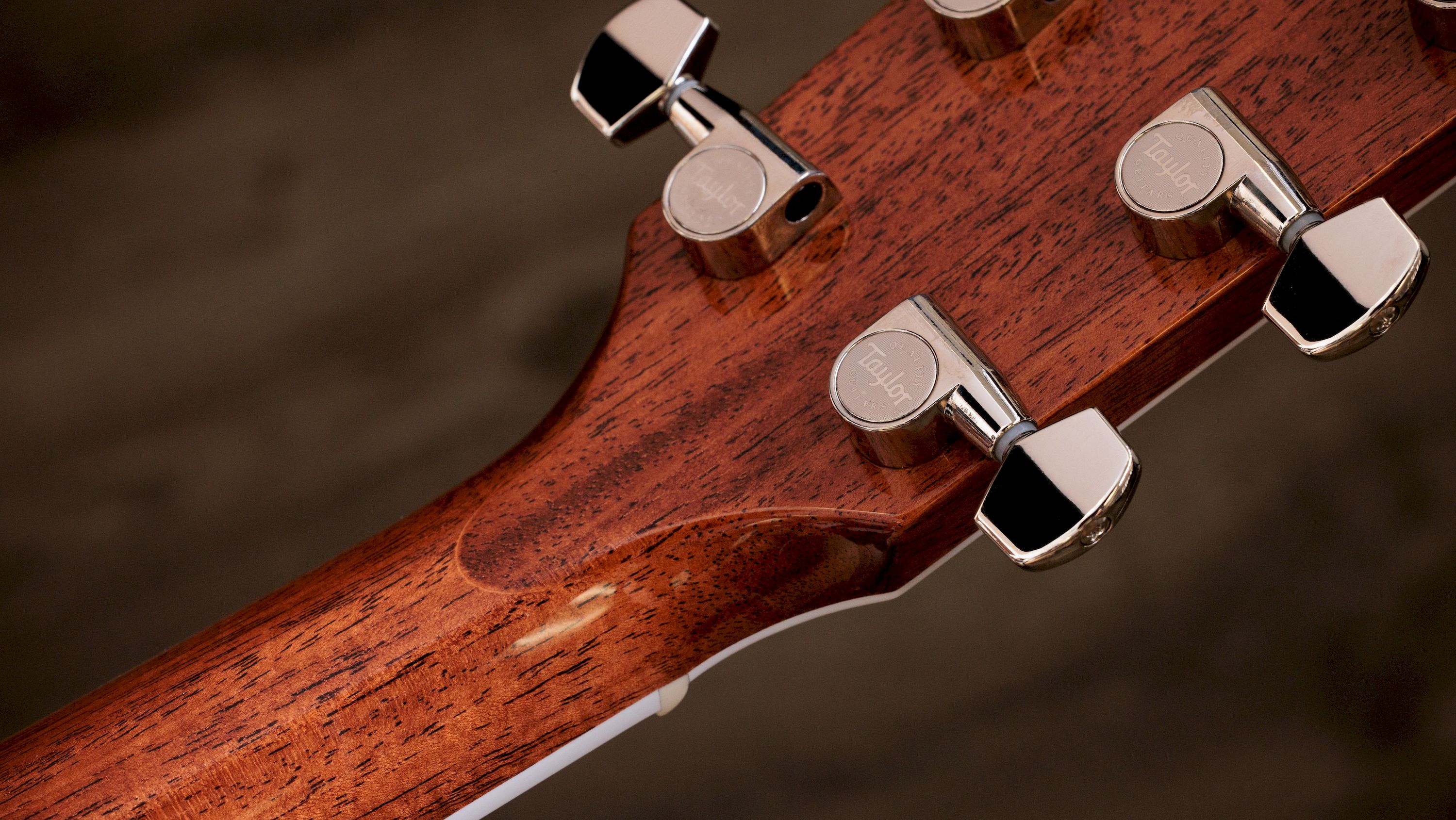 Taylor Legacy 815e – Bild 9