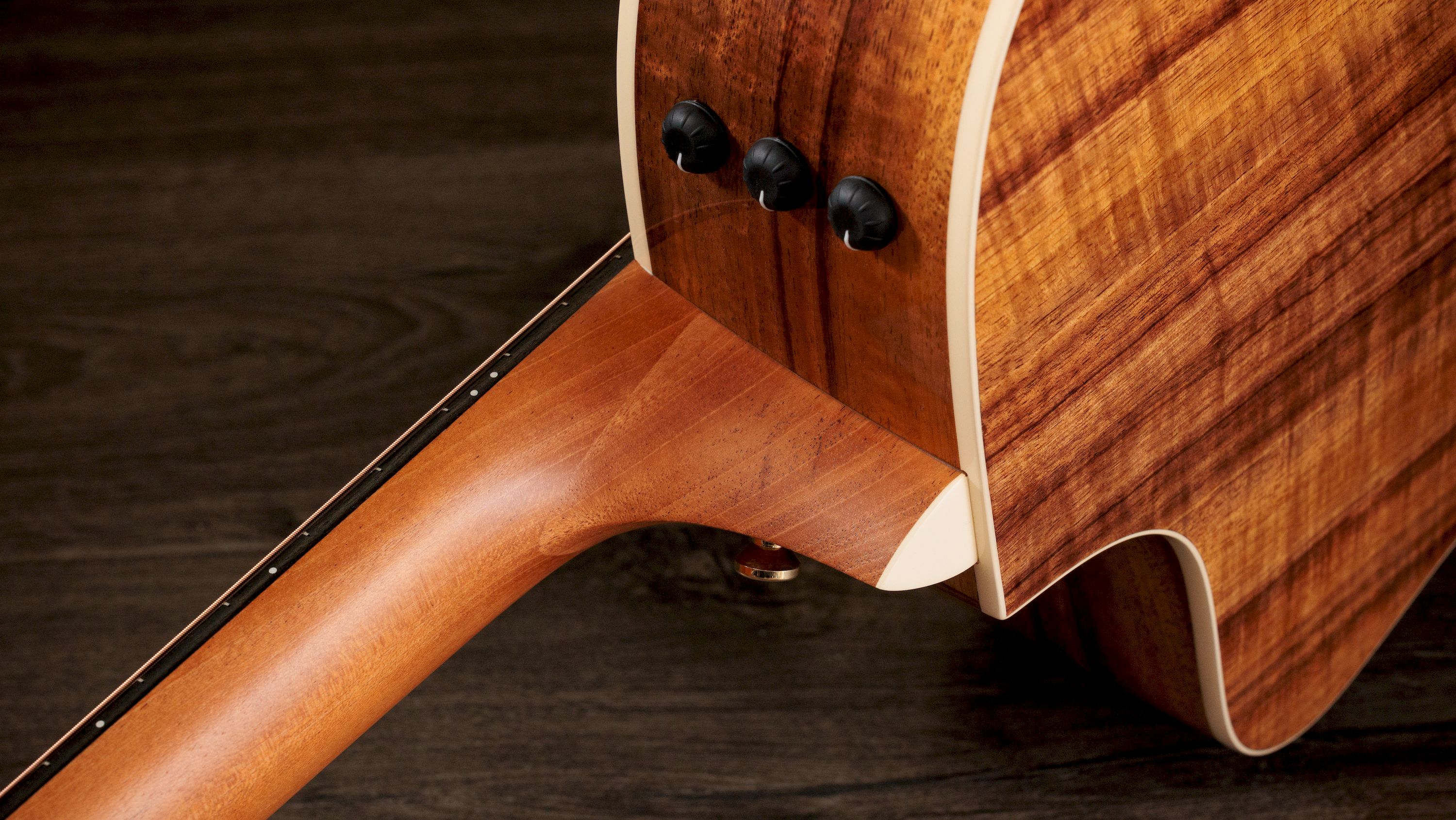 Taylor 214ce K DLX – Bild 6