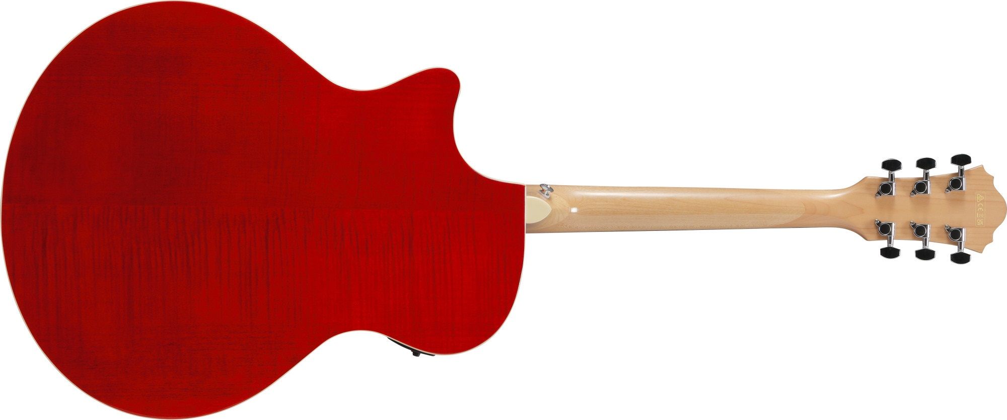 Ibanez AE 170-NTR 