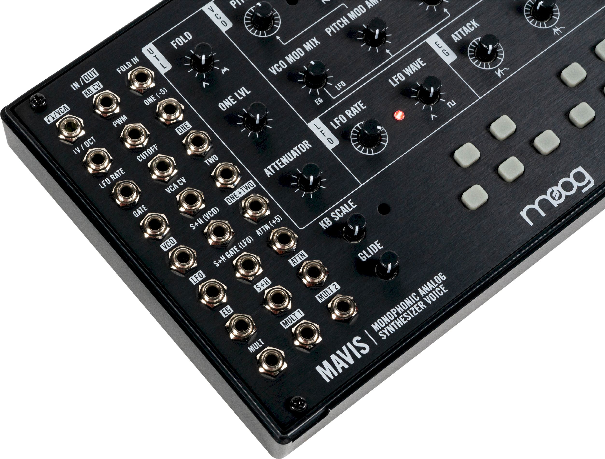 Moog Mavis Moog Mavis