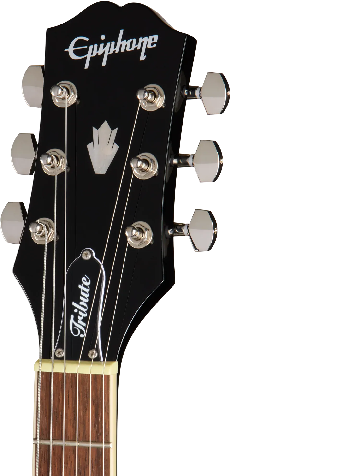 Epiphone SG Tribute Plus Ebony Burst – Bild 7