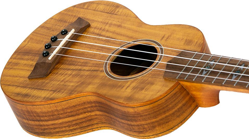 Flight DUC 440 Acacia – Bild 3