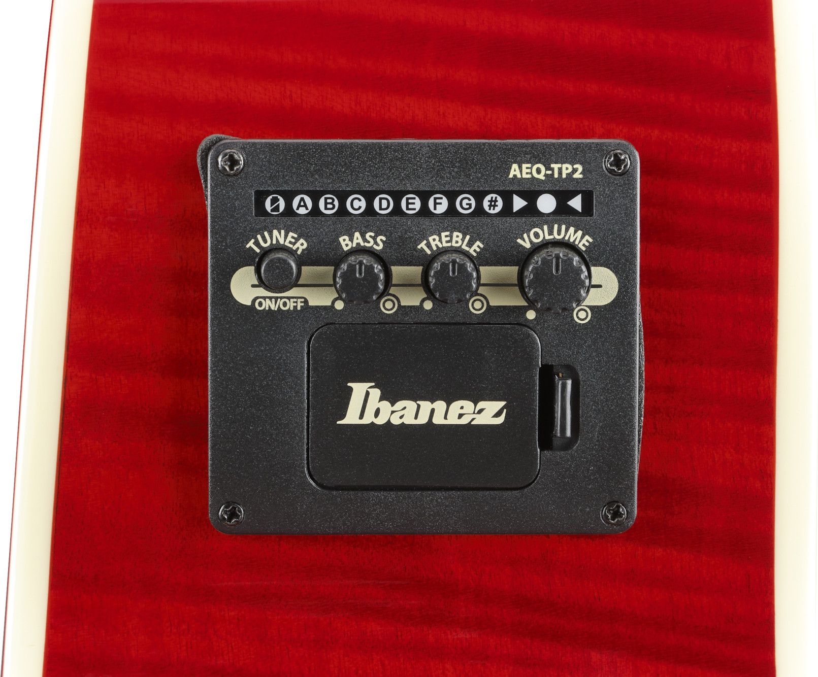Ibanez AE 170-NTR 