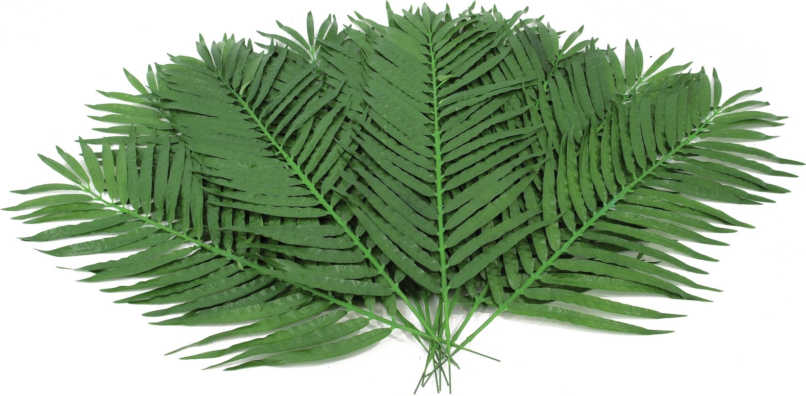 Europalms Kokos-Palmwedel, künstlich, 90cm 12x