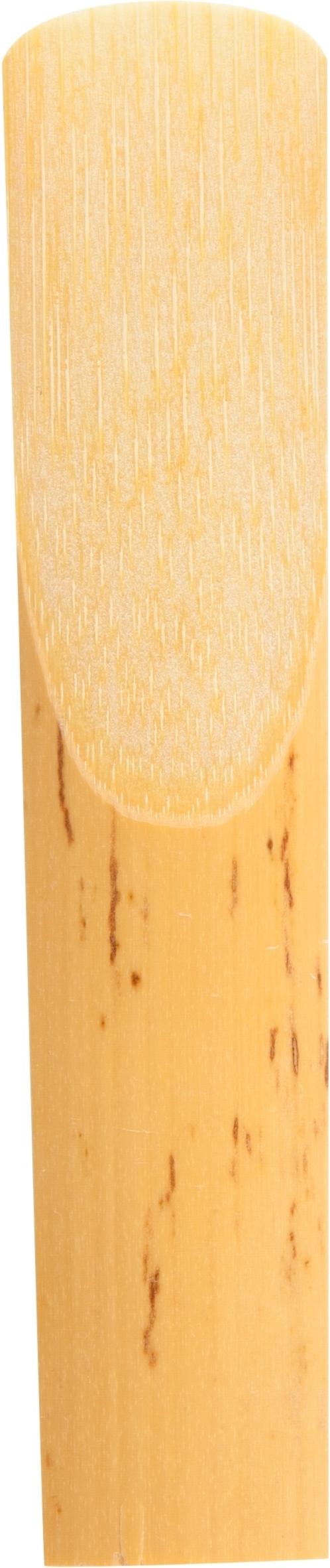 Rico Blatt Tenor-Saxophon   3,5