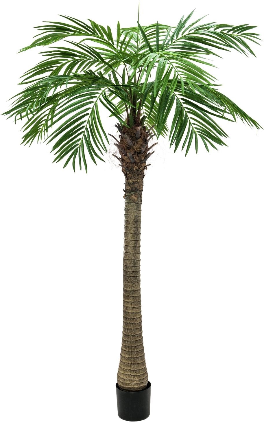 Europalms Phönixpalme luxor, Kunstpflanze, 150cm Europalms Phönixpalme luxor, Kunstpflanze, 150cm