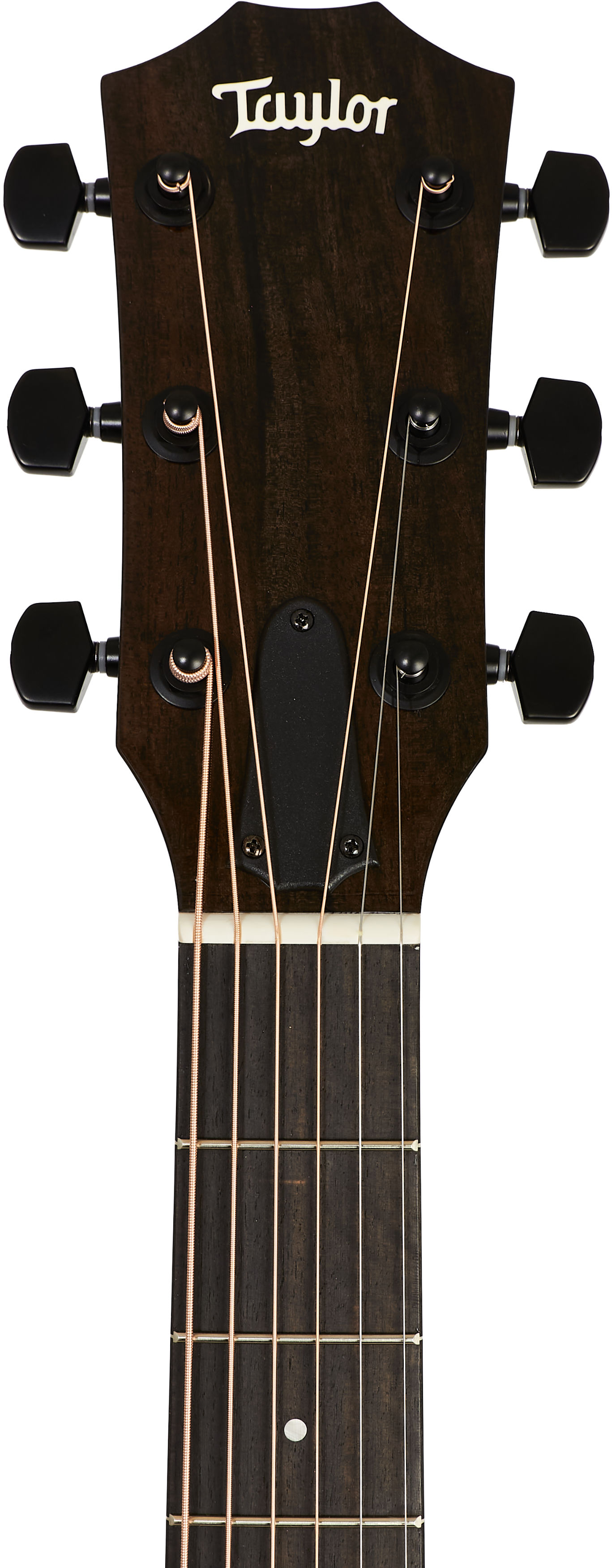 Taylor 214ce Plus Black