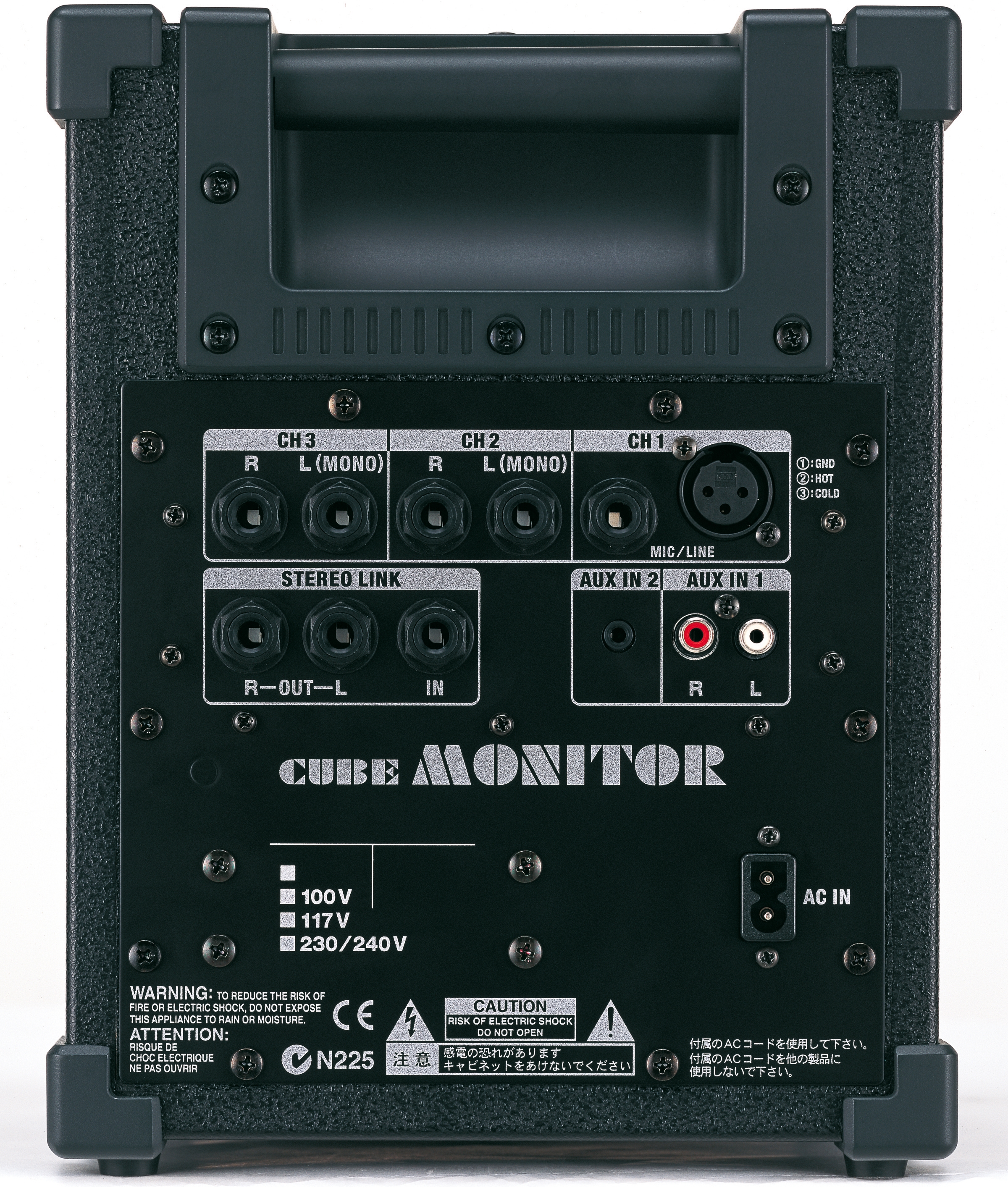 Roland CM30 Cube Monitor