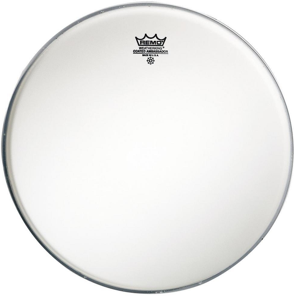 Remo Ambassador Coated 16