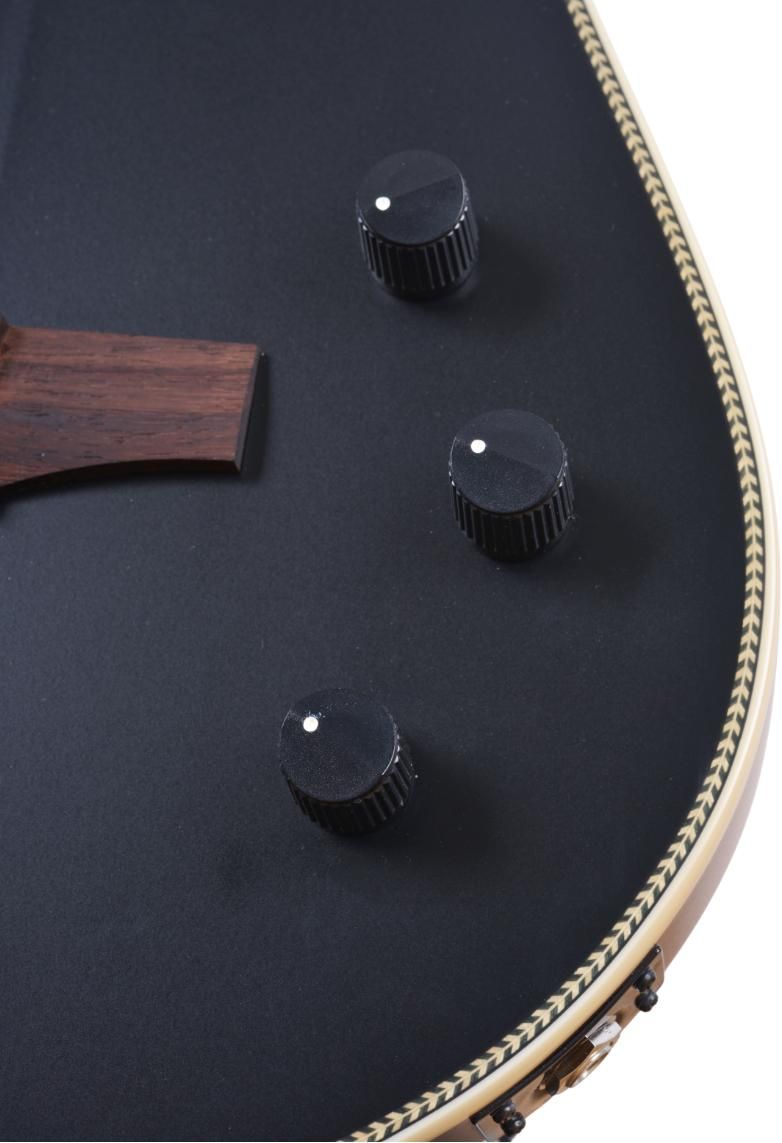 Stanford Horizon Thinline Classic Black – Bild 3