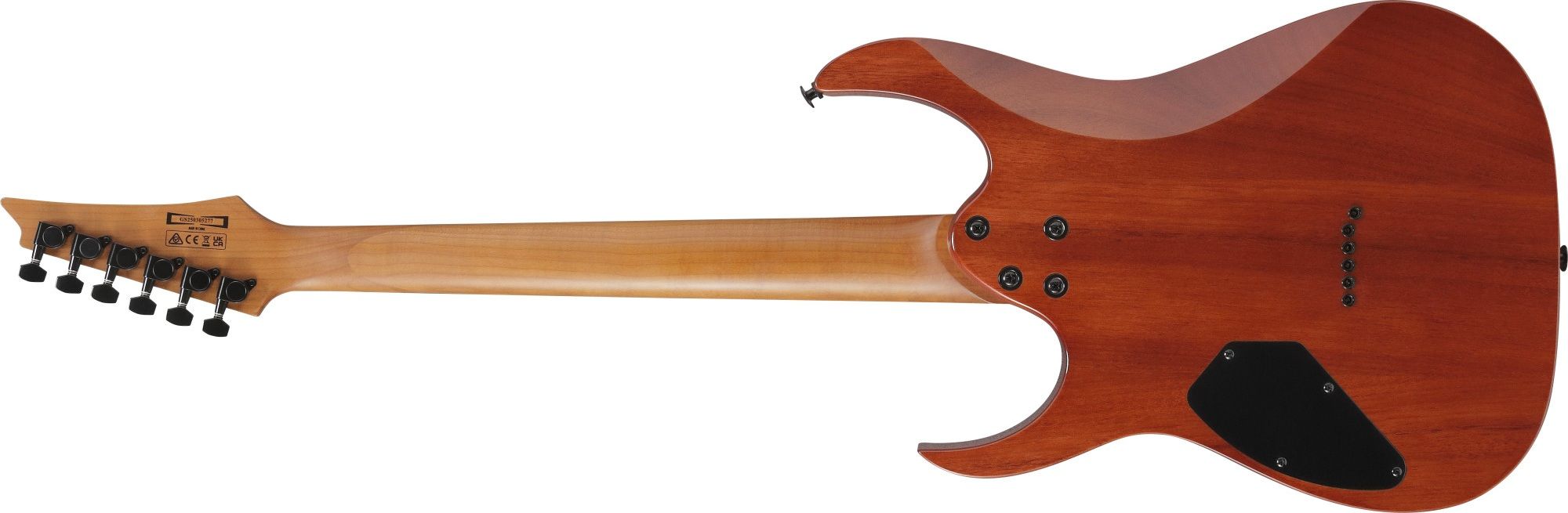 Ibanez GRGR 221FA-TDK – Bild 2