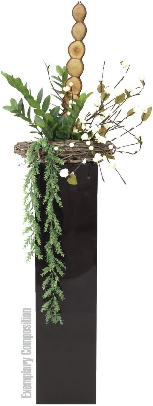 Europalms LEICHTSIN BOX-120, braun, glänzend – Bild 4