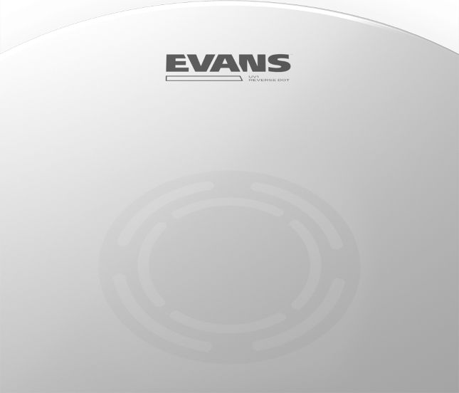 Evans B13UV1RD UV1 Revers Dot Snare 13"