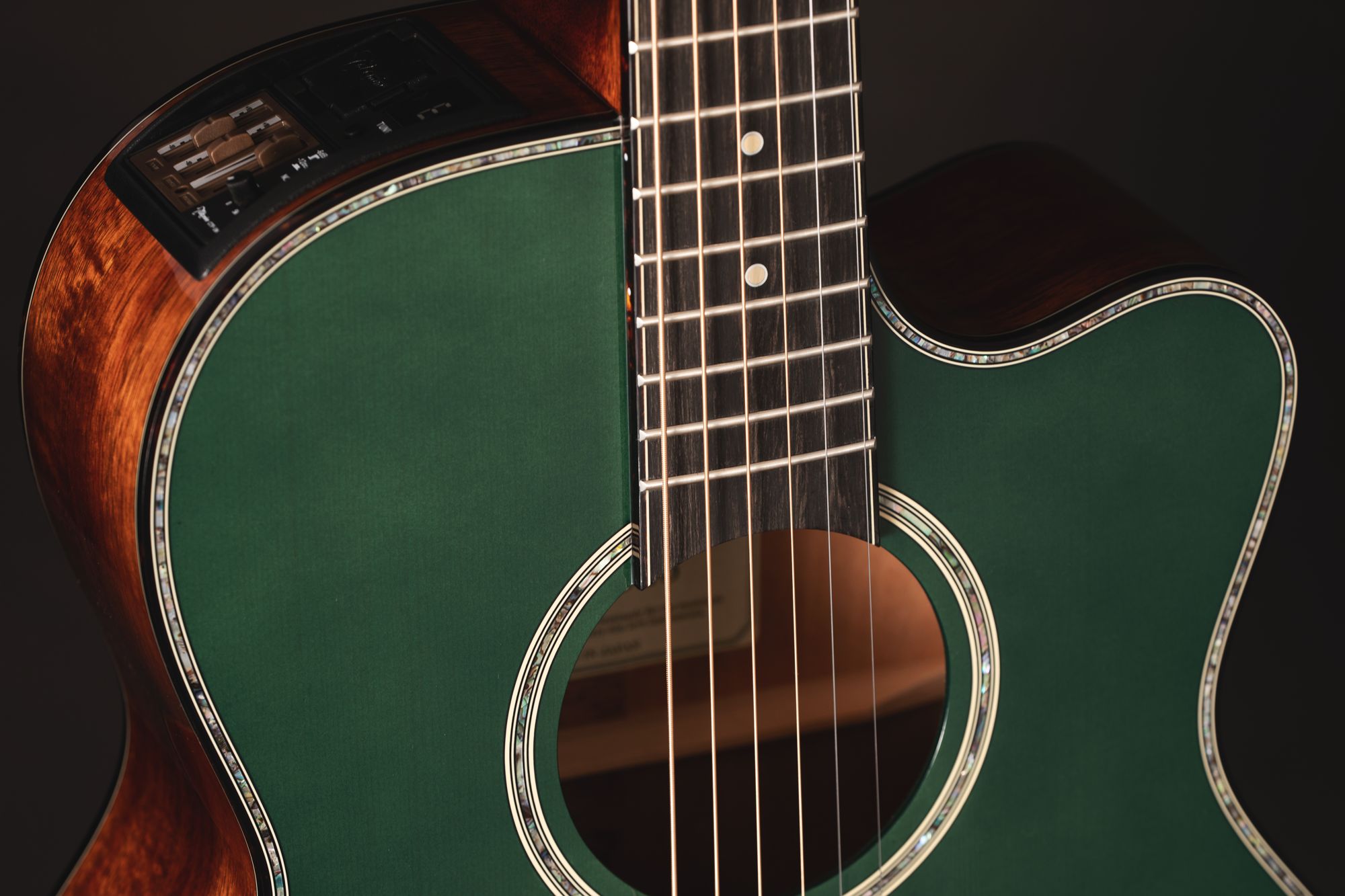 Takamine Limited 2025 – Bild 5