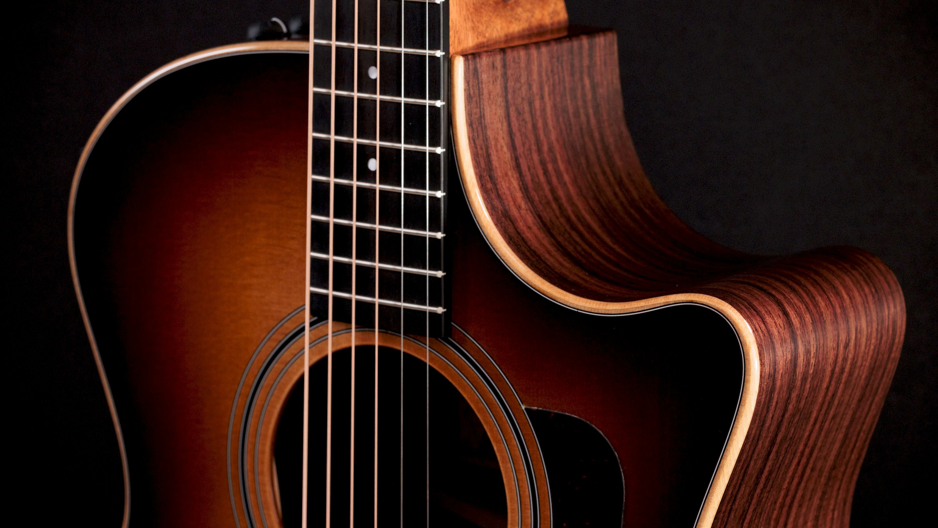 Taylor 414ce Studio SEB – Bild 3