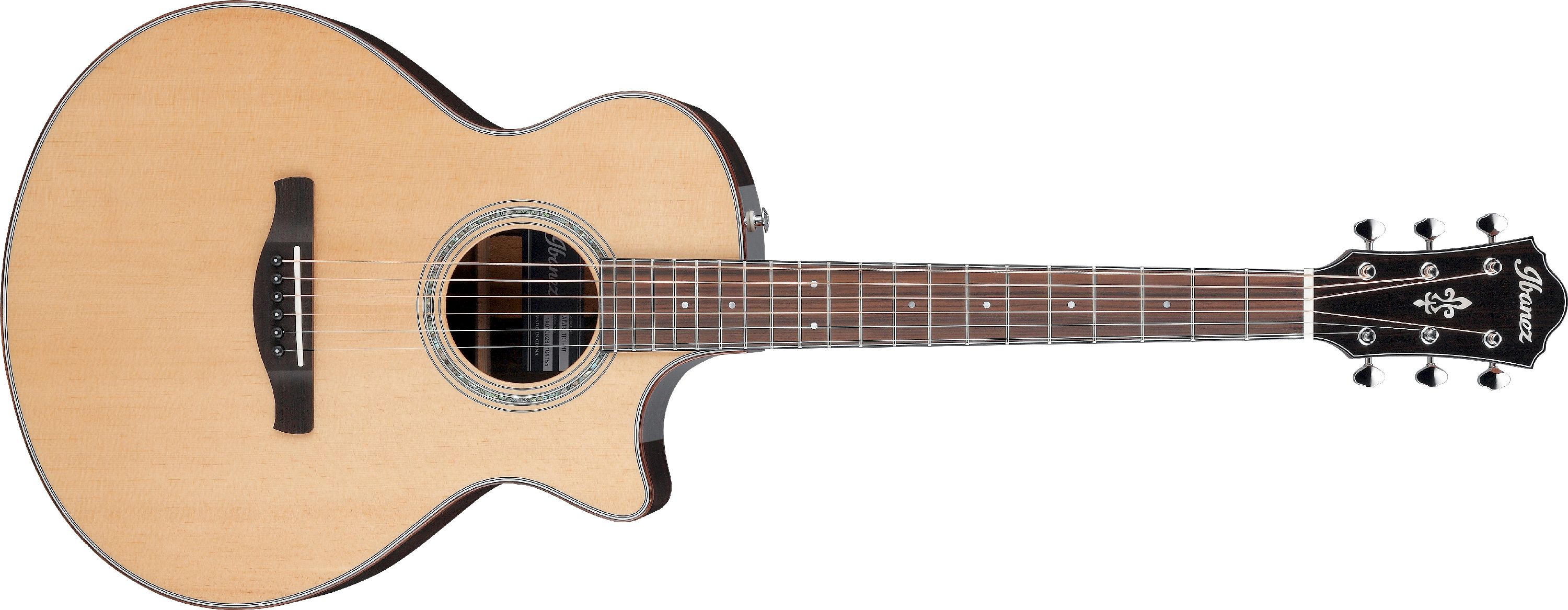 Ibanez AE300ZRJR-NT