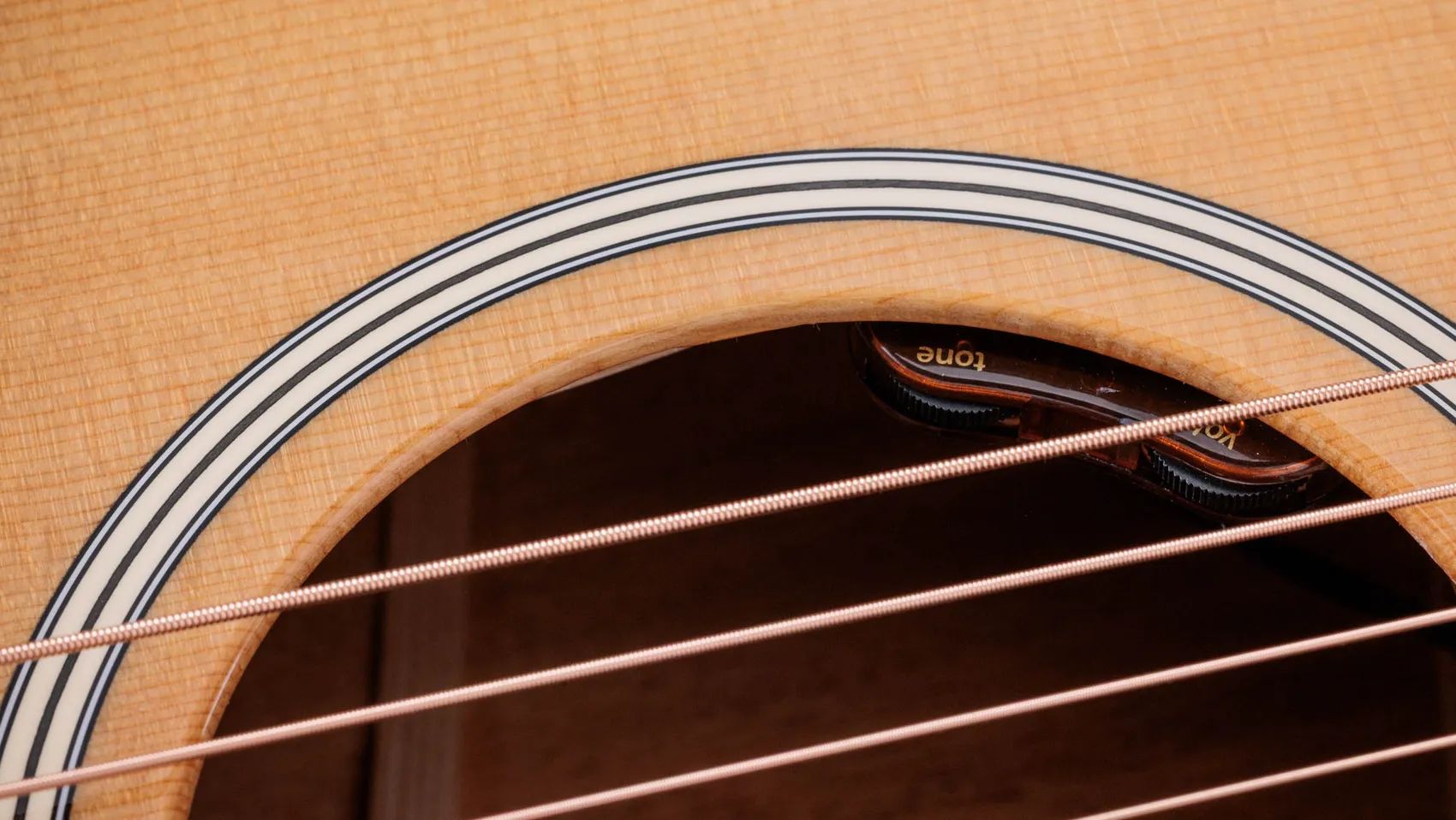 Taylor Gold Label 514e Fichte/Mahagoni – Bild 6