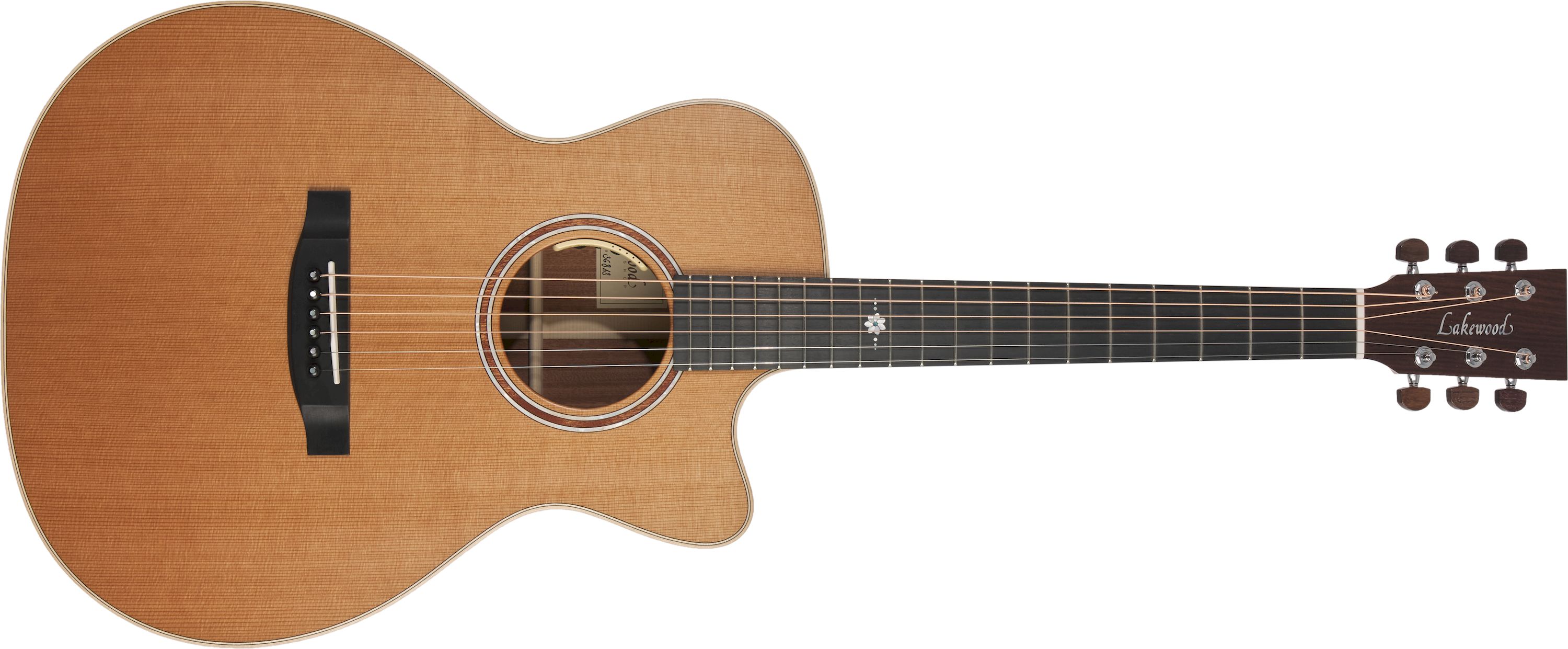 Lakewood M-14 Custom