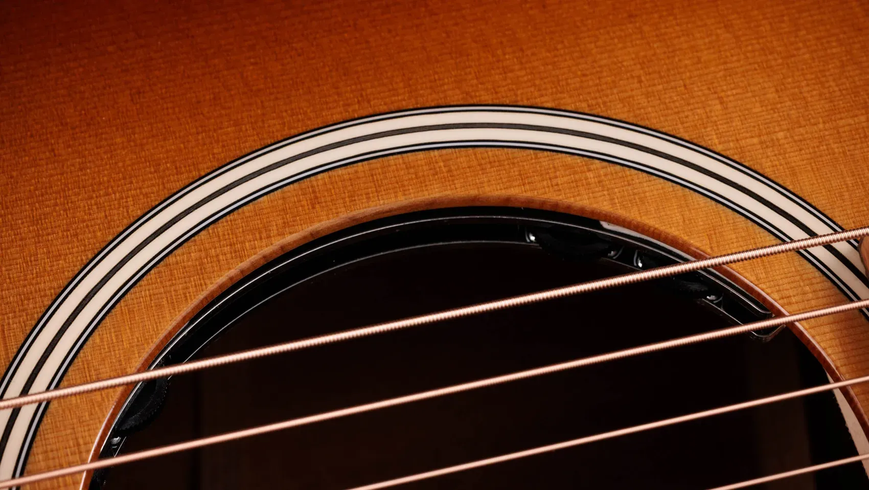 Taylor Gold Label 512e Ben Harper Grand Concert Fichte/Mahagoni – Bild 7