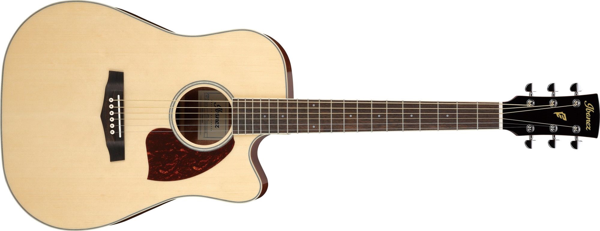 Ibanez PF16WCE-NT