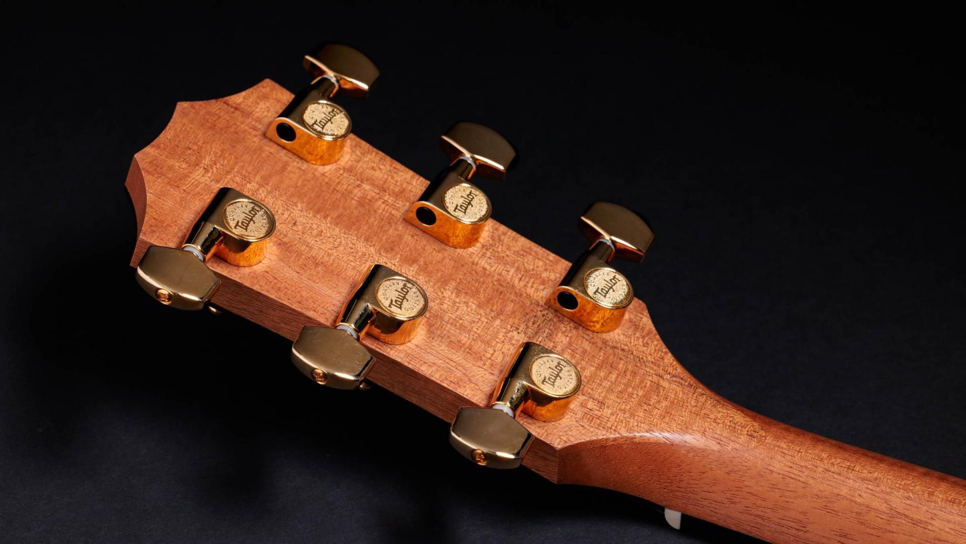 Taylor 50th Anniversary 217e-SB Plus LTD – Bild 9