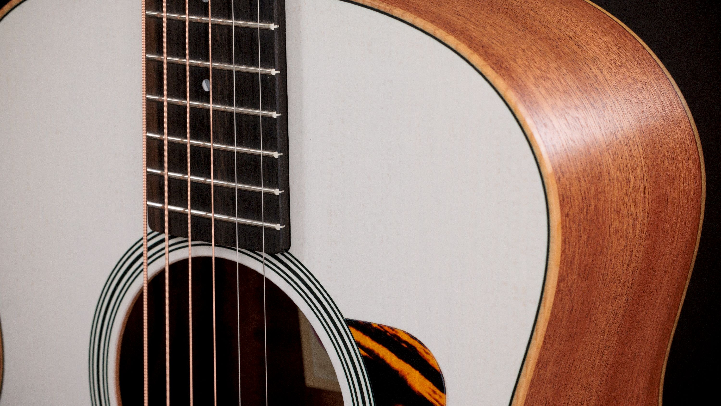 Taylor GS Mini-e Trans White Special Edition