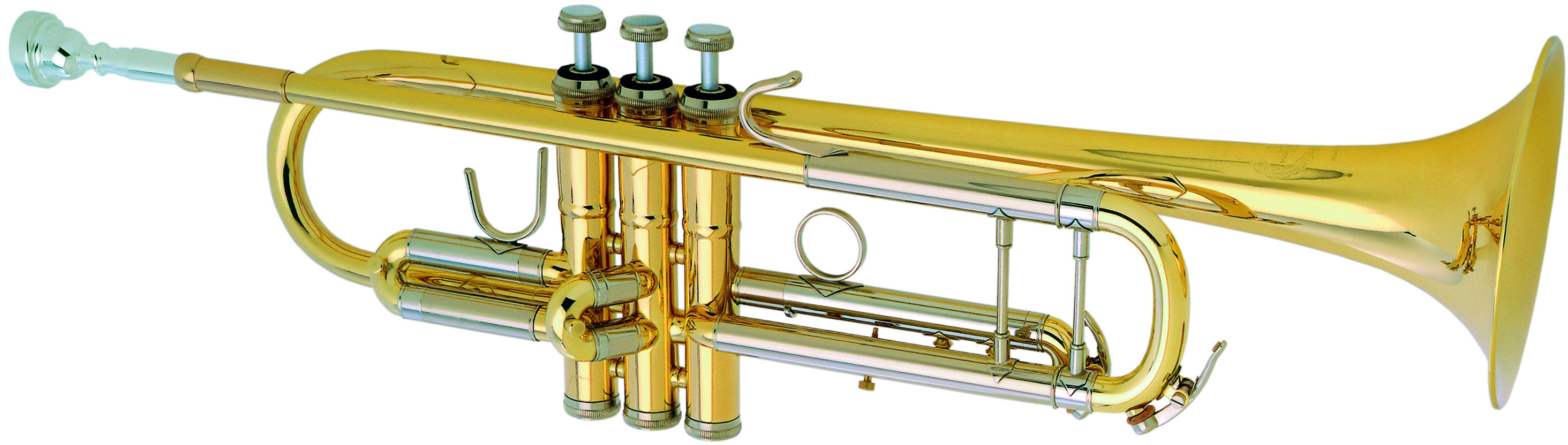 B&S 3137/2  Challenger II Goldmessing