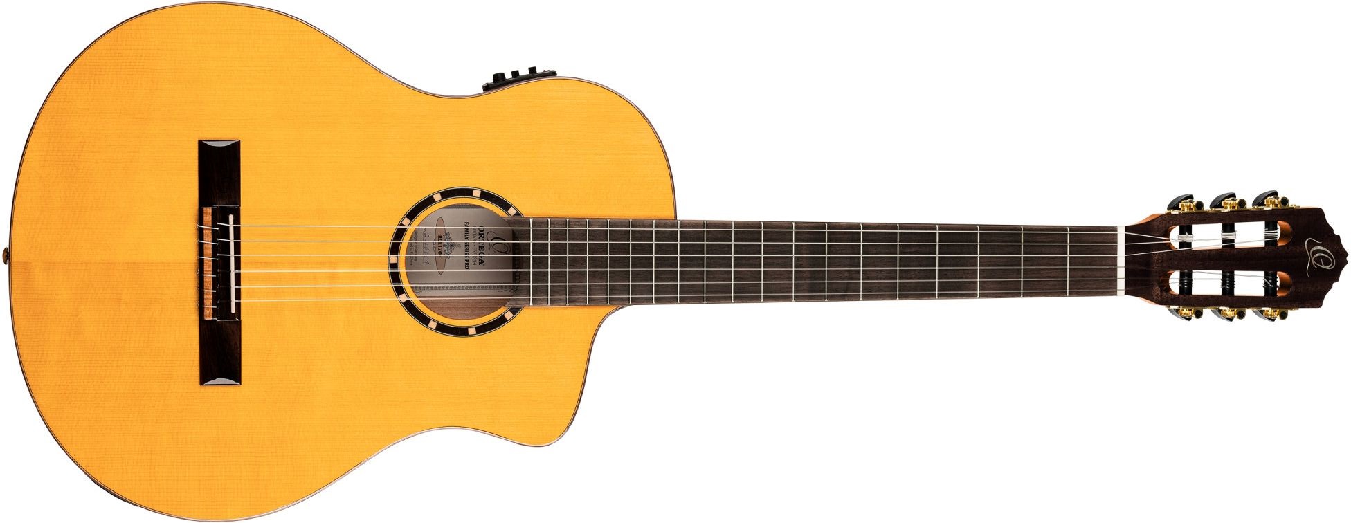 Ortega RCE 170 F