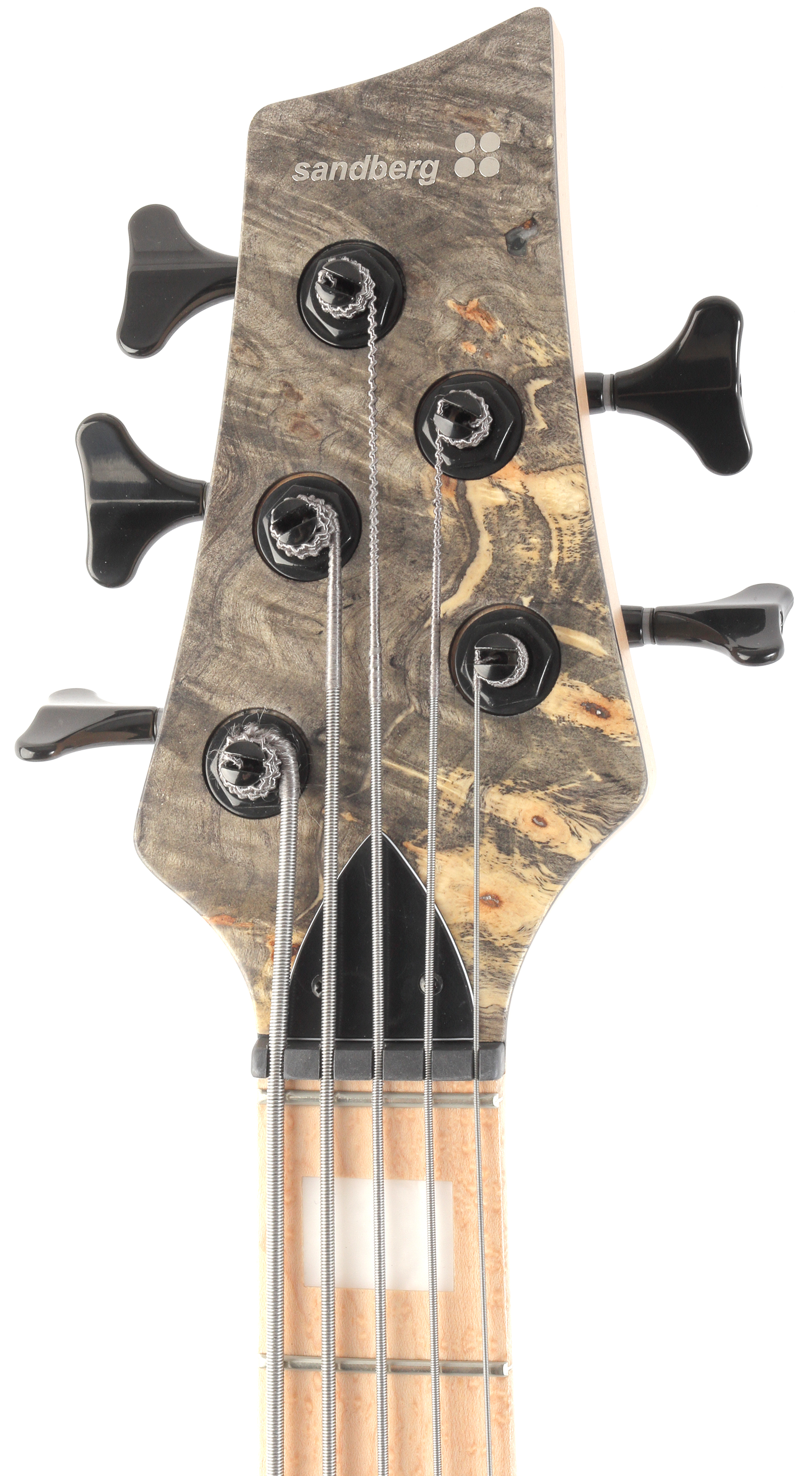 Sandberg Basic Ken Taylor 5 Buckeye Burl Birdseye / Maple FB – Bild 5