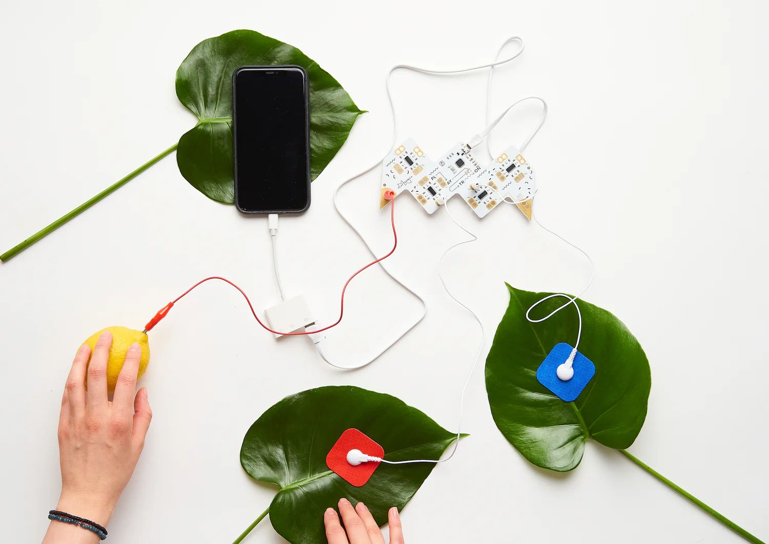 Playtronica Playtron - Midi Controller – Bild 3