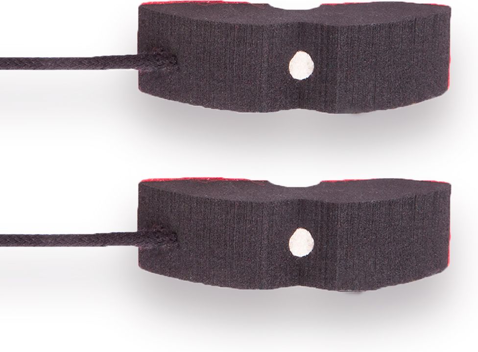Remic P6100 Dual WLM