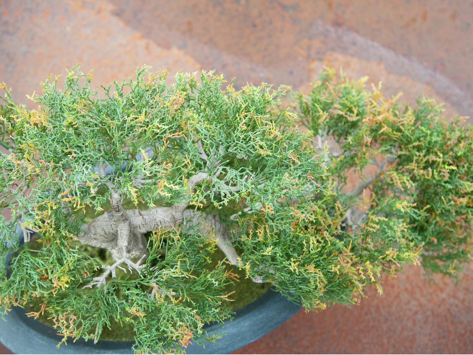 Europalms Bonsai-Zeder, Kunstpflanze, 40cm
