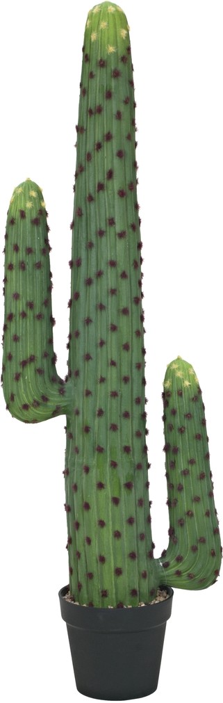 Europalms Mexikanischer Kaktus, Kunstpflanze, grün, 117cm Europalms Mexikanischer Kaktus, Kunstpflanze, grün, 117cm