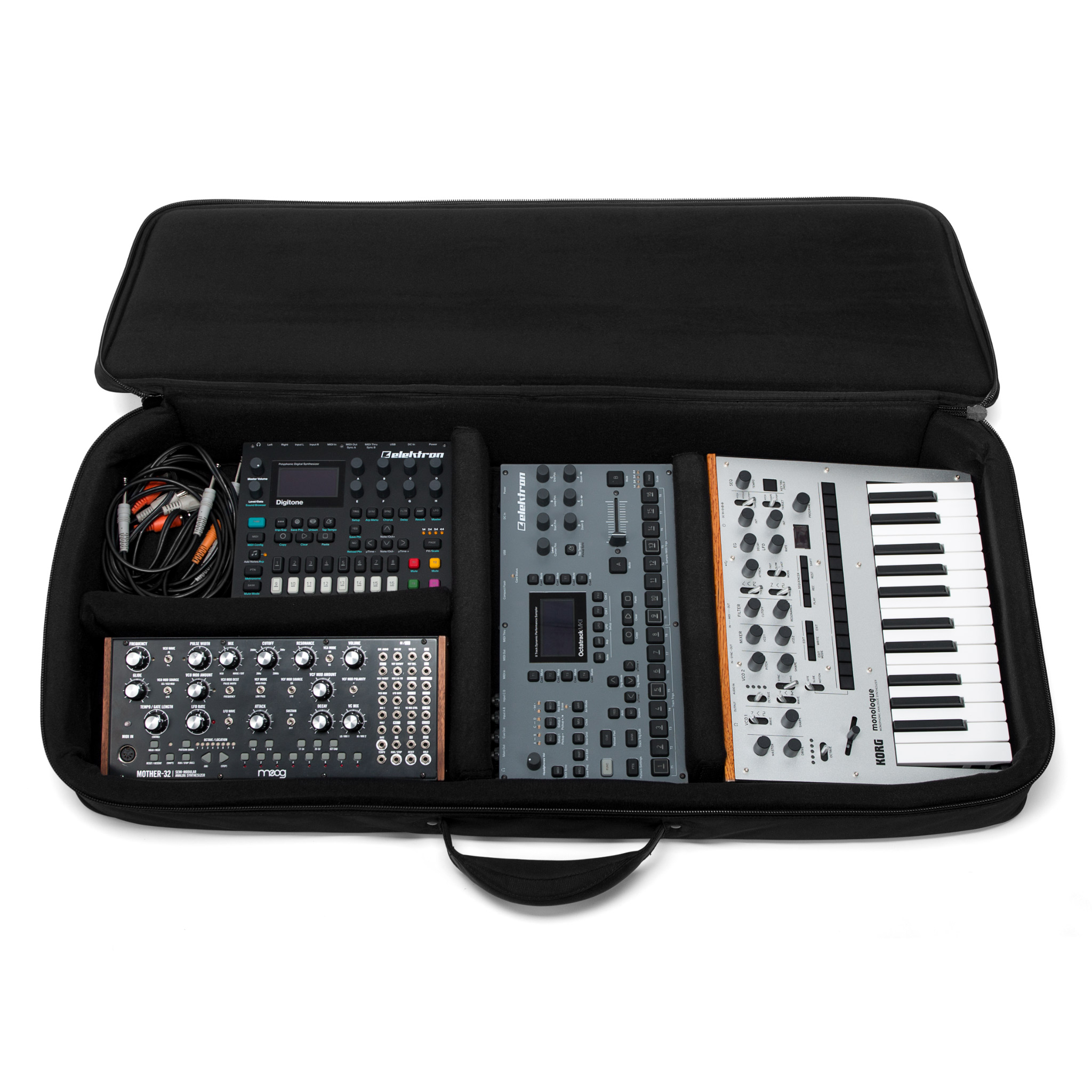 Analog Cases SUSTAIN Case 49 Analog Cases SUSTAIN Case 49