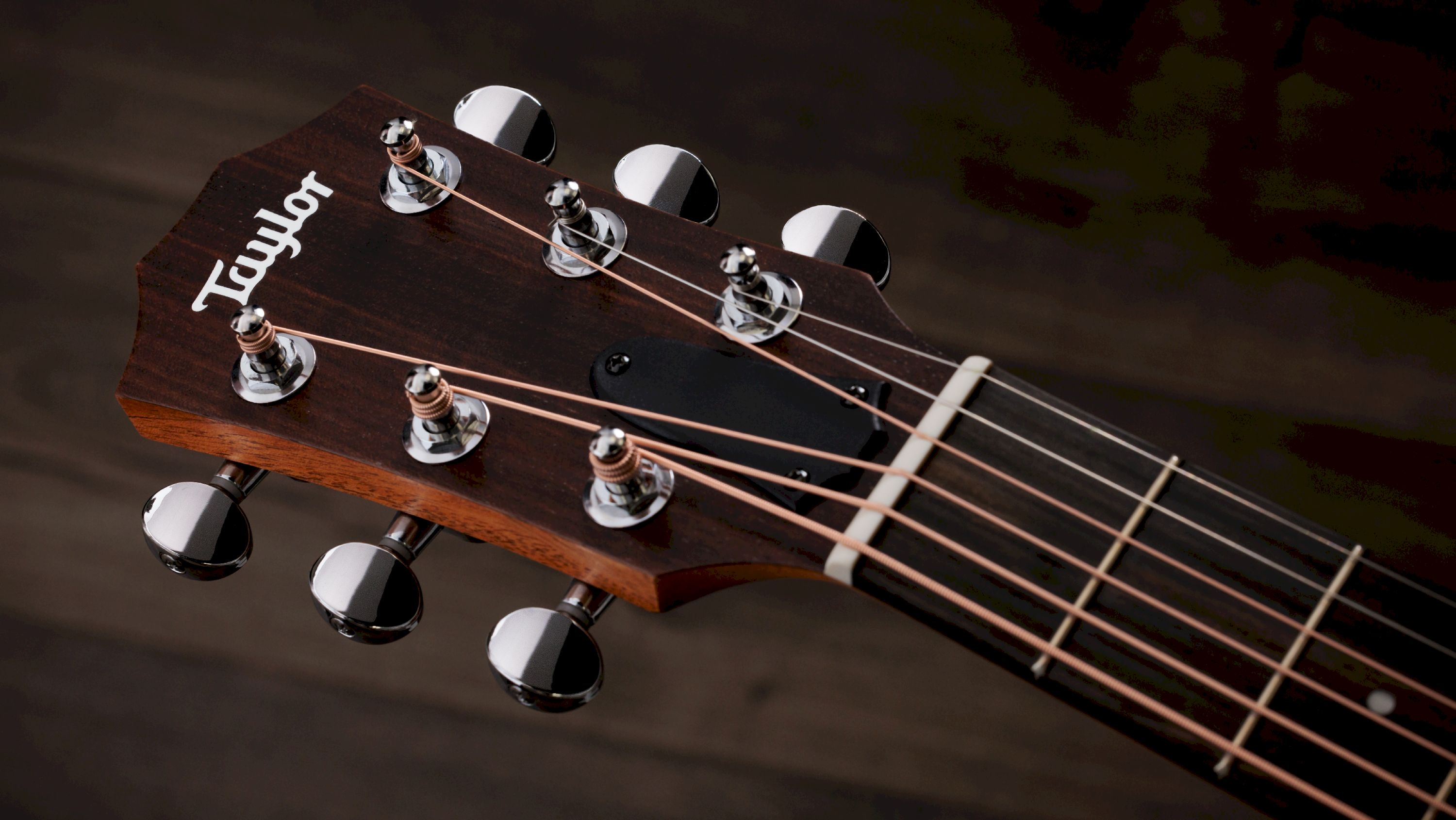 Taylor GS Mini-e Trans Black Special Edition  – Bild 6