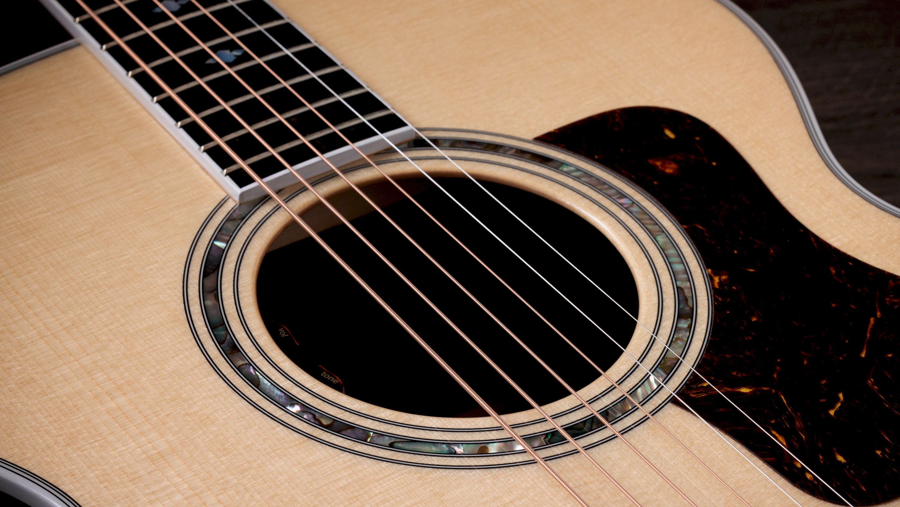 Taylor Legacy 815e – Bild 3