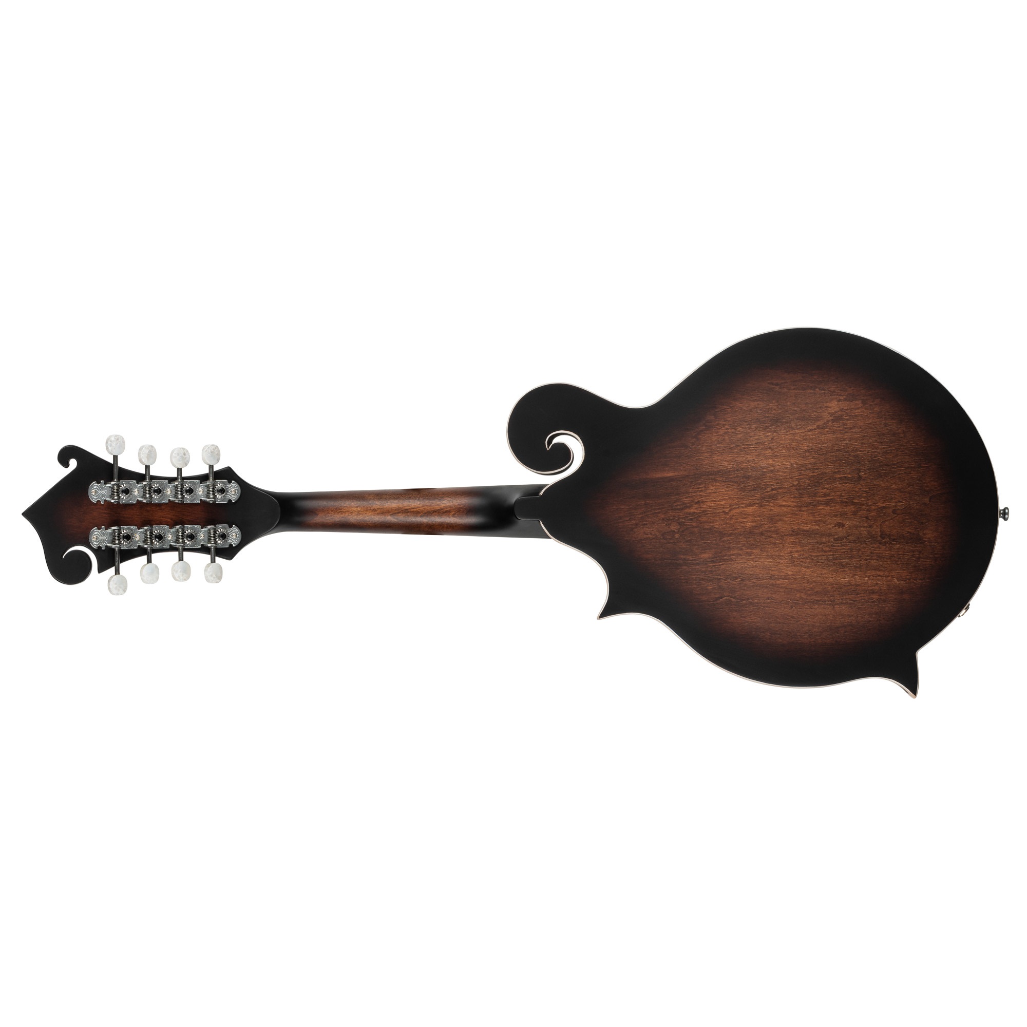 Ortega RMFE30-WB – Bild 2