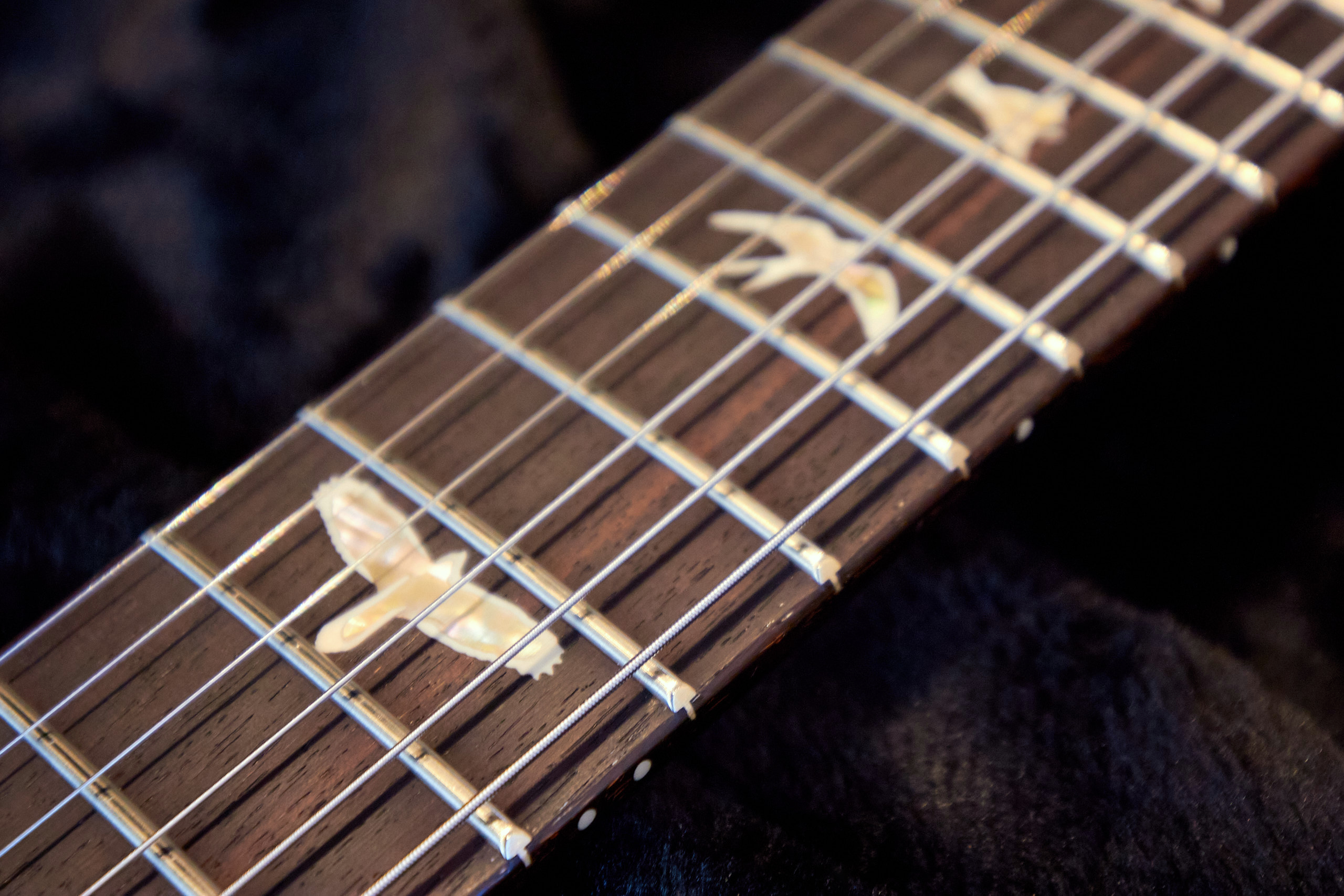 Gitarre neu besaiten | So klappt es bei E-, Konzert- und Westerngitarre